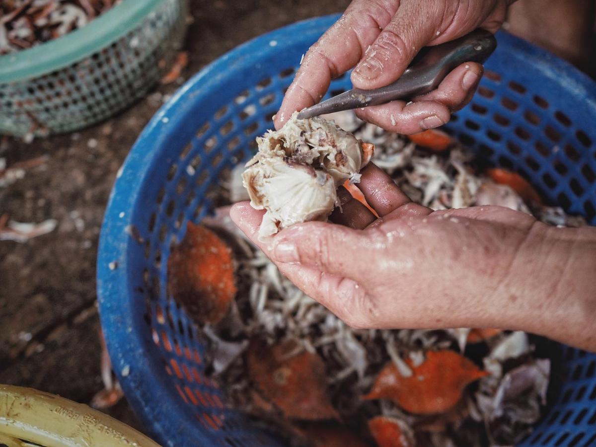 Rub Lom Chom Klong Homestay Csumphon Kültér fotó